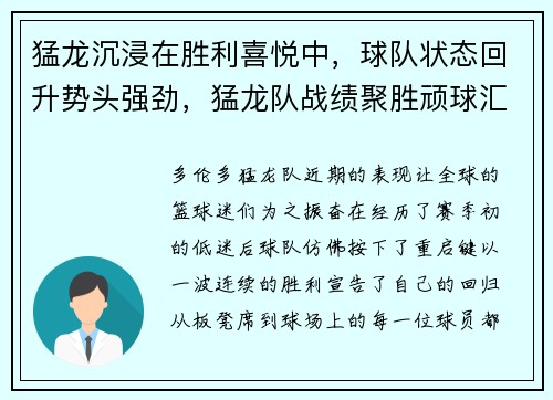 猛龙沉浸在胜利喜悦中，球队状态回升势头强劲，猛龙队战绩聚胜顽球汇